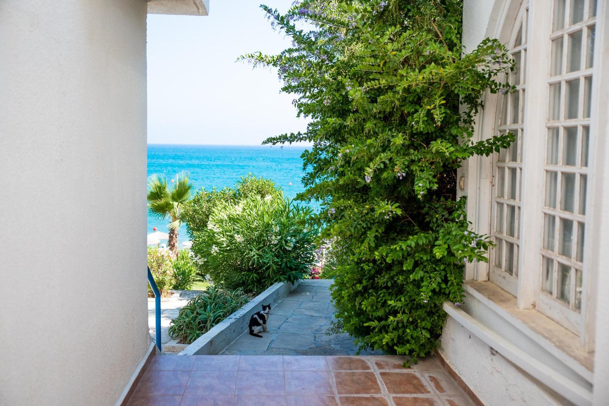 Pissouri Bay Studio Esterno foto